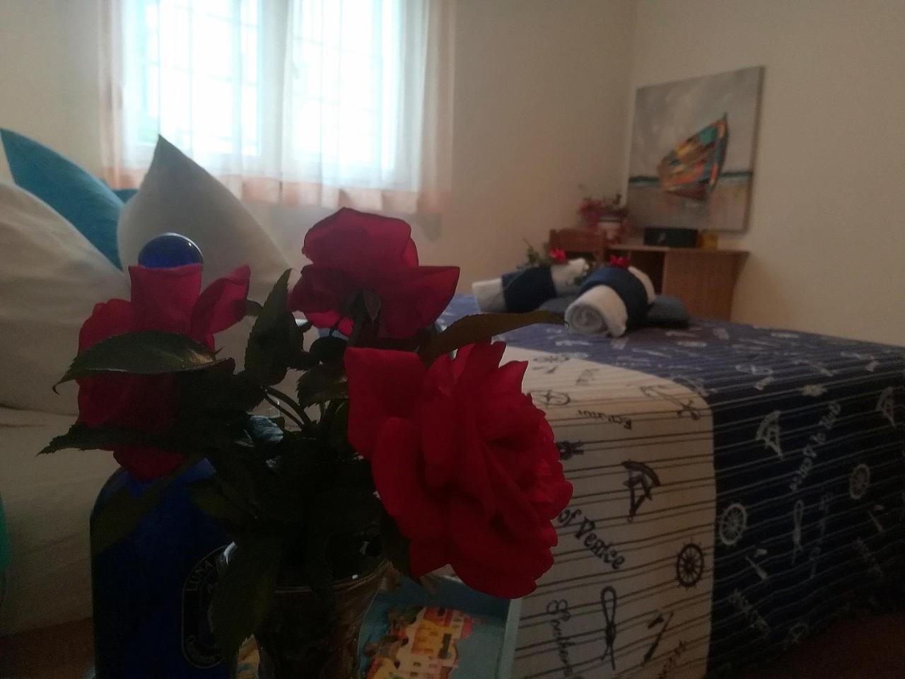 Apartments Mirela Petrčane Zewnętrze zdjęcie